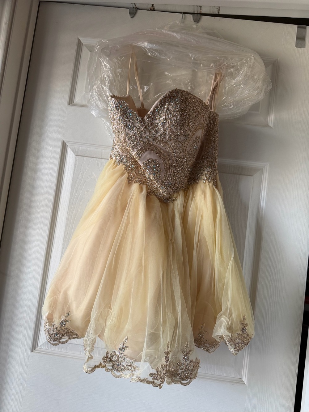 Embellished Champagne Tulle Prom Dress